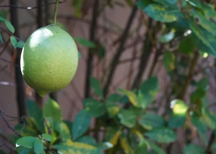 Antica Dimora Horti Luculliani Rzym